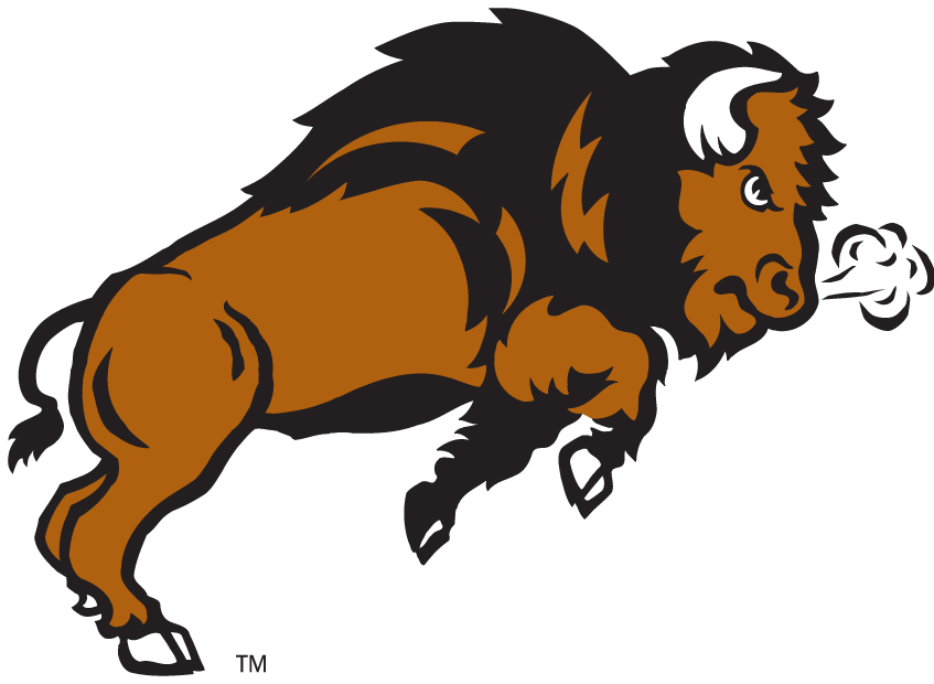 North Dakota State Bison 2005-2011 Secondary Logo v3 diy fabric transfer